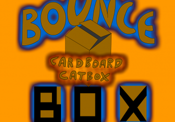 Cardboard Catbox Bounce Box