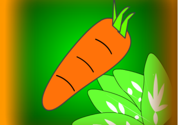Carrot Time