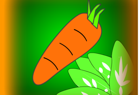 Carrot Time