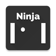 Ninja Pong