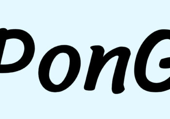 PonG