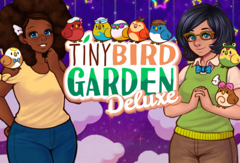 Tiny Bird Garden Deluxe