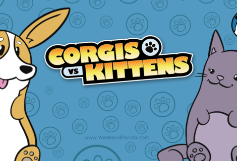 Corgis vs. Kittens
