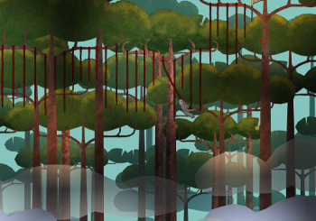 Sloth Quest